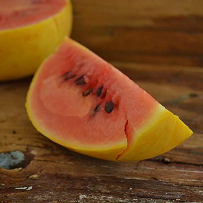 ☀️ Golden Midget Watermelon Seed for Planting - Non-GMO 