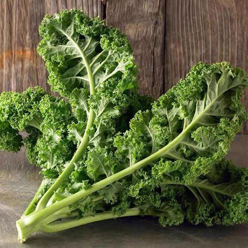 Low-Calorie Super Vegetable – Curly Kale Seeds