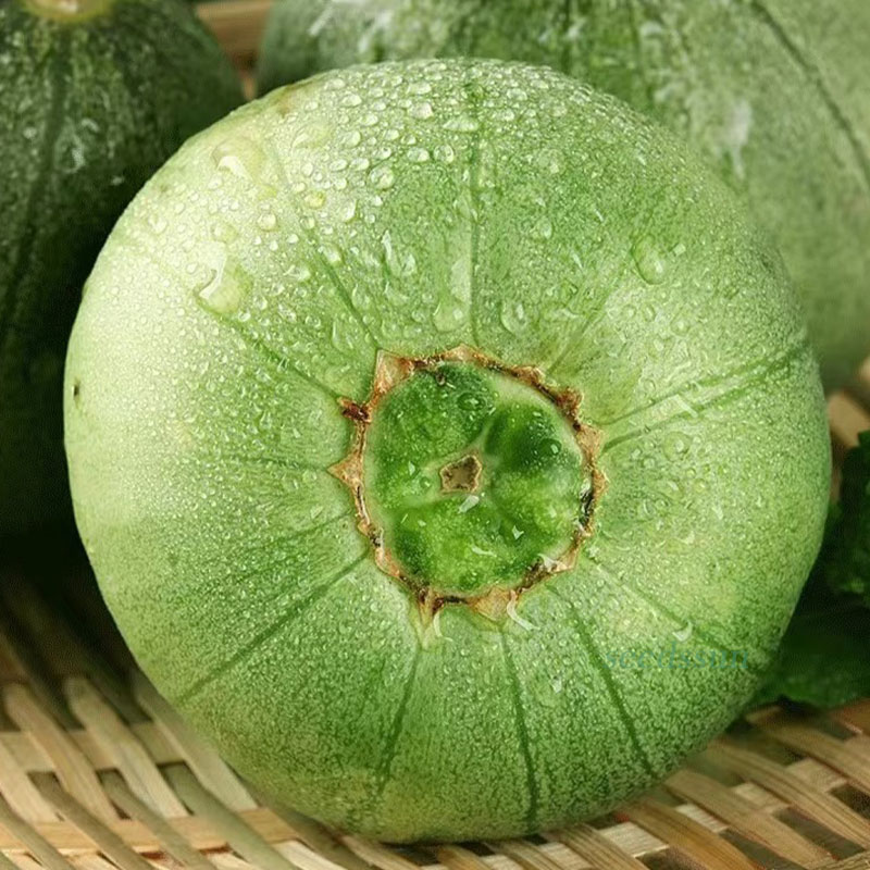Emerald Melon Seeds