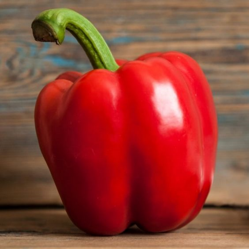 🌈Sweet Rainbow Organic Bell Pepper Seeds🫑