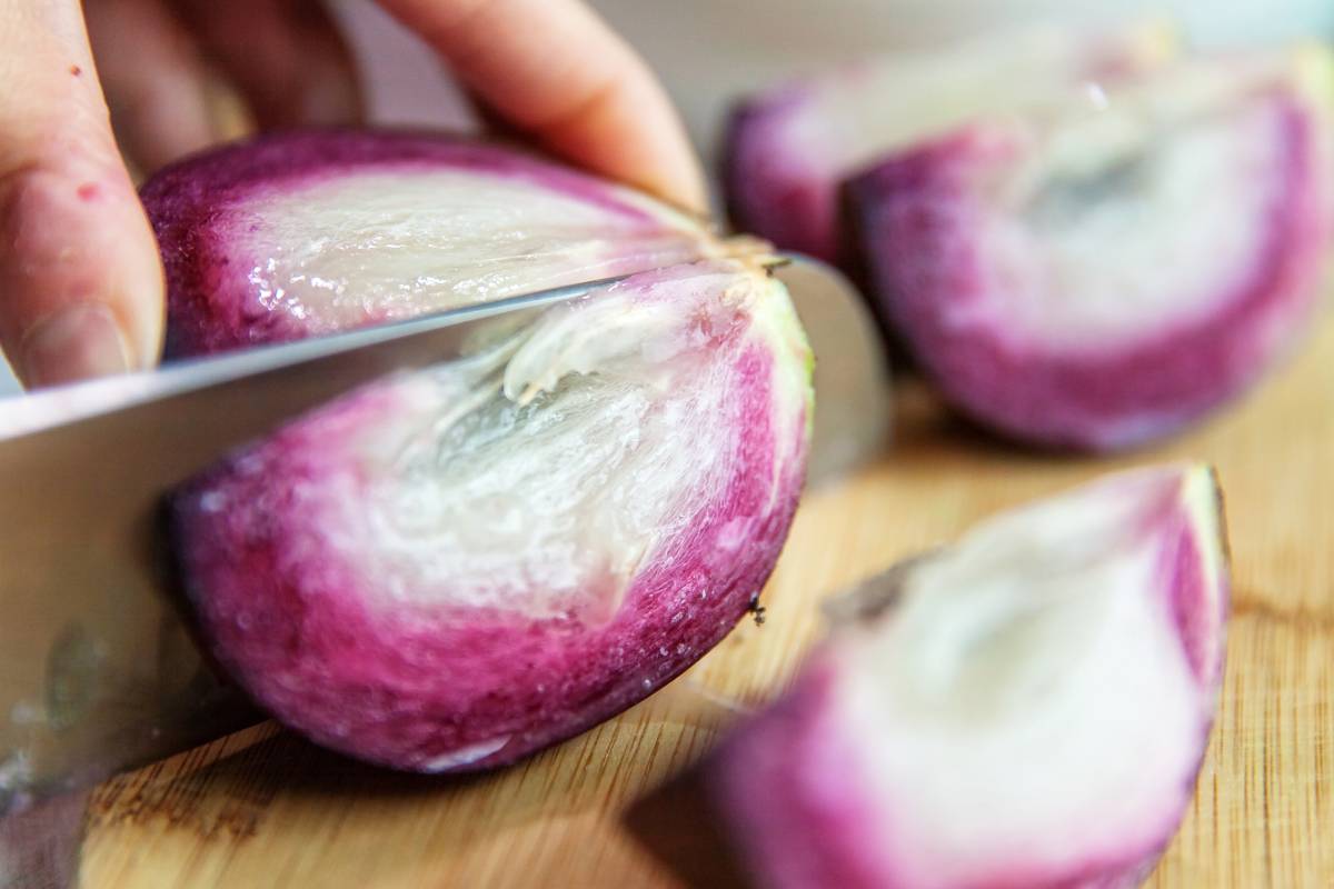 ⭐Star Apple Seeds-Chrysophyllum Cainito