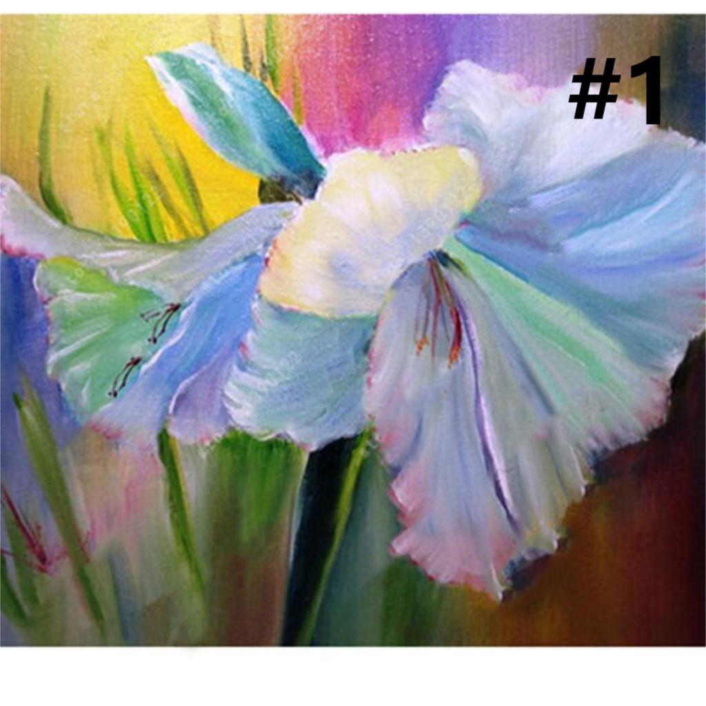 50pcs Hippeastrum Rutilum Seeds Bonsai Home Garden Balcony Plants