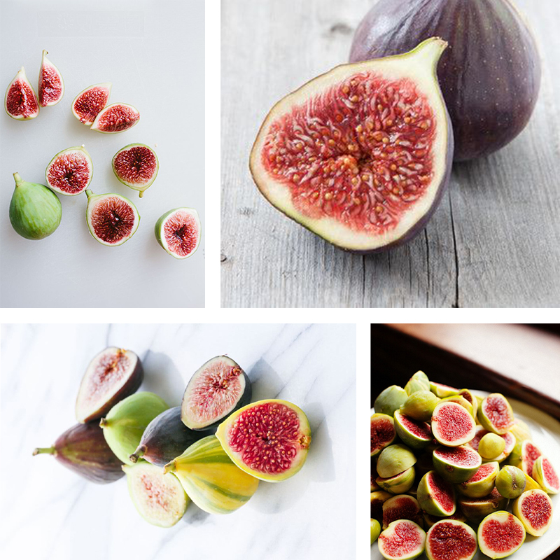 Fig Tree Seeds (Ficus carica)🍀Sweet Fruit Shrub