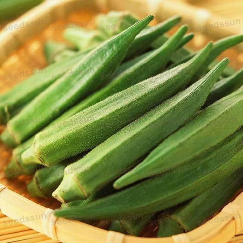 Lady Finger/ Okra Seed