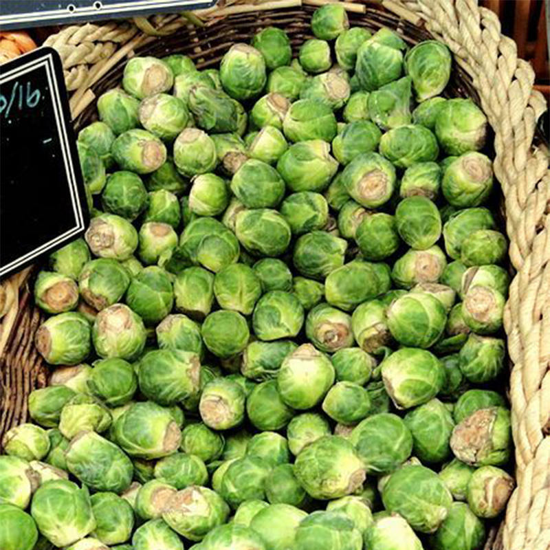 🥗Brussels Sprouts Seeds