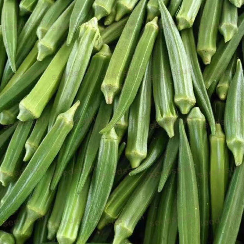 Lady Finger/ Okra Seed