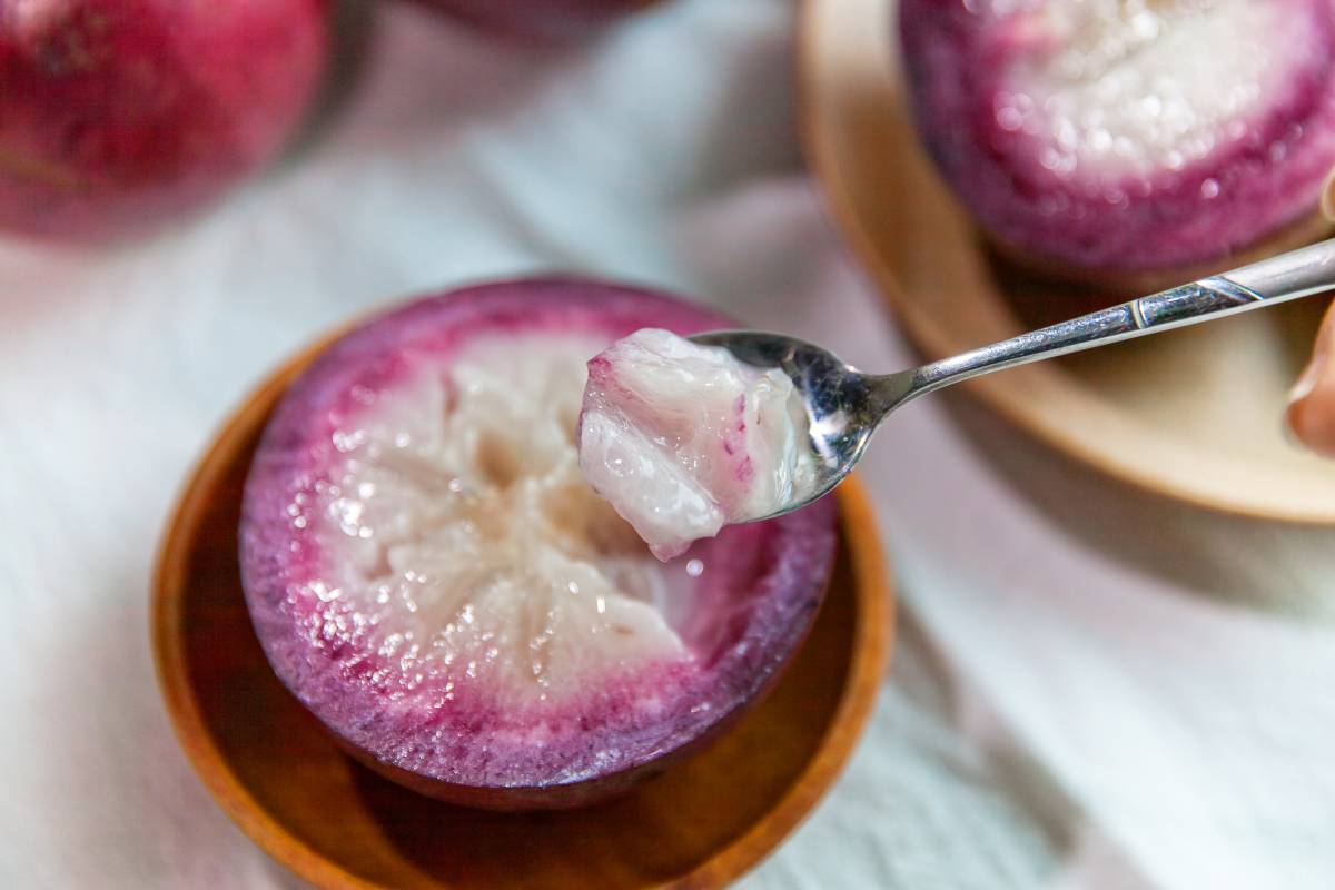 ⭐Star Apple Seeds-Chrysophyllum Cainito