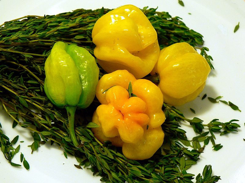 40 Yellow SCOTCH BONNET PEPPER very hot Jamaican Capsicum Annuum Vegetable Seeds