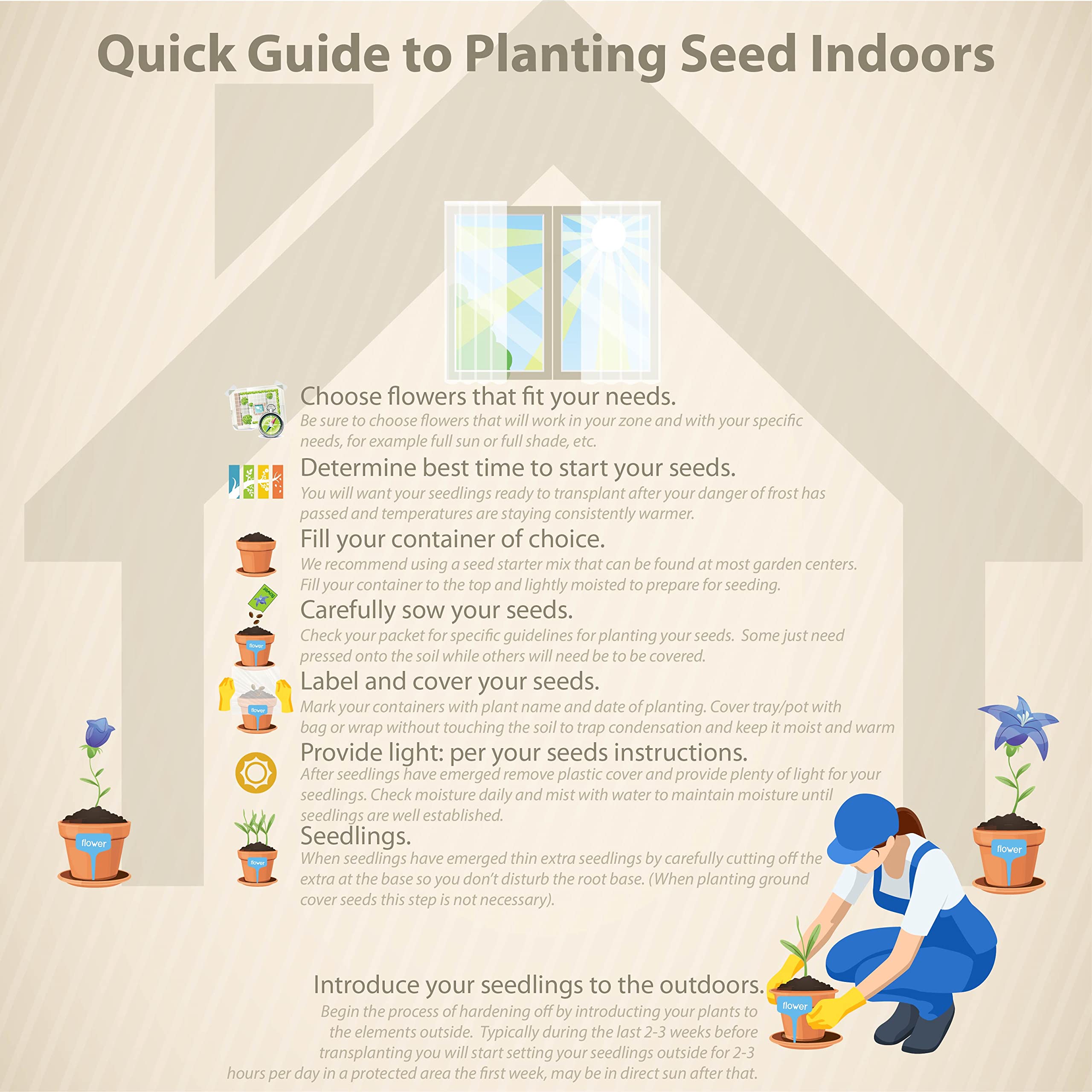 Outsidepride Perennial Russells Lupine Wild Flower Mix & Butterflies & Hummingbirds - 500 Seeds