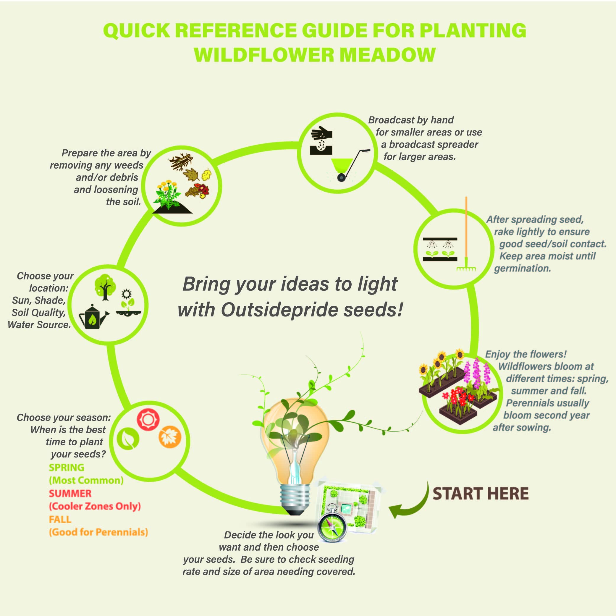 Outsidepride Perennial Russells Lupine Wild Flower Mix & Butterflies & Hummingbirds - 500 Seeds