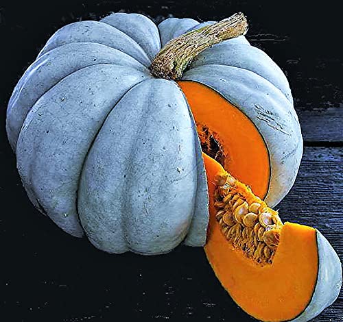 Japanese Green Pumpkin Seeds - Kabocha - Open Pollinated, Heirloom