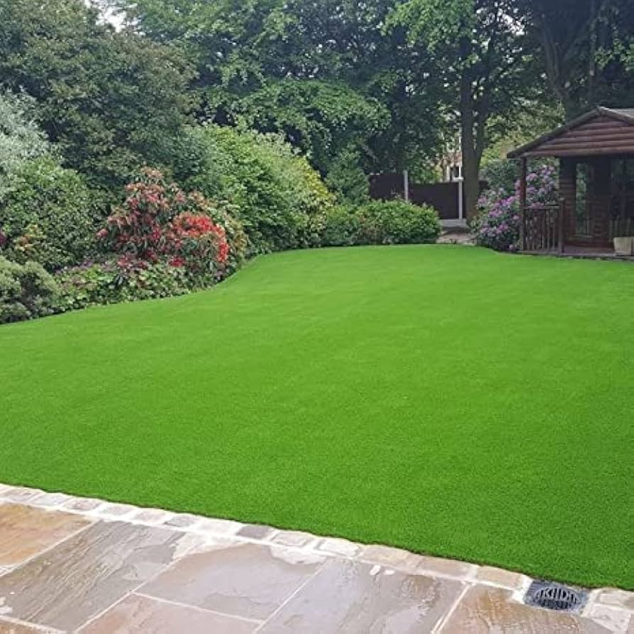 High Quality Premium Lawn Seed