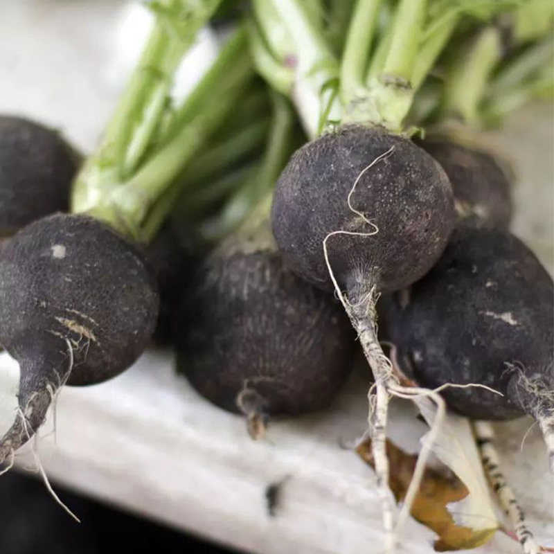 Rich in nutritional value📽Black radish