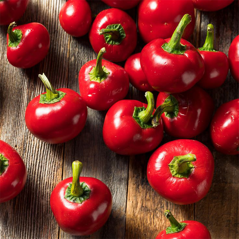 Biquinho Red Pepper Heirloom Seeds - B358