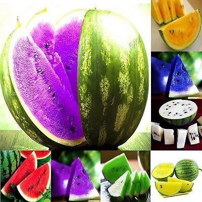 Rare Colorful Sweet🍉Watermelon🍉Seeds Fresh Fruit Healthy Planting Summer