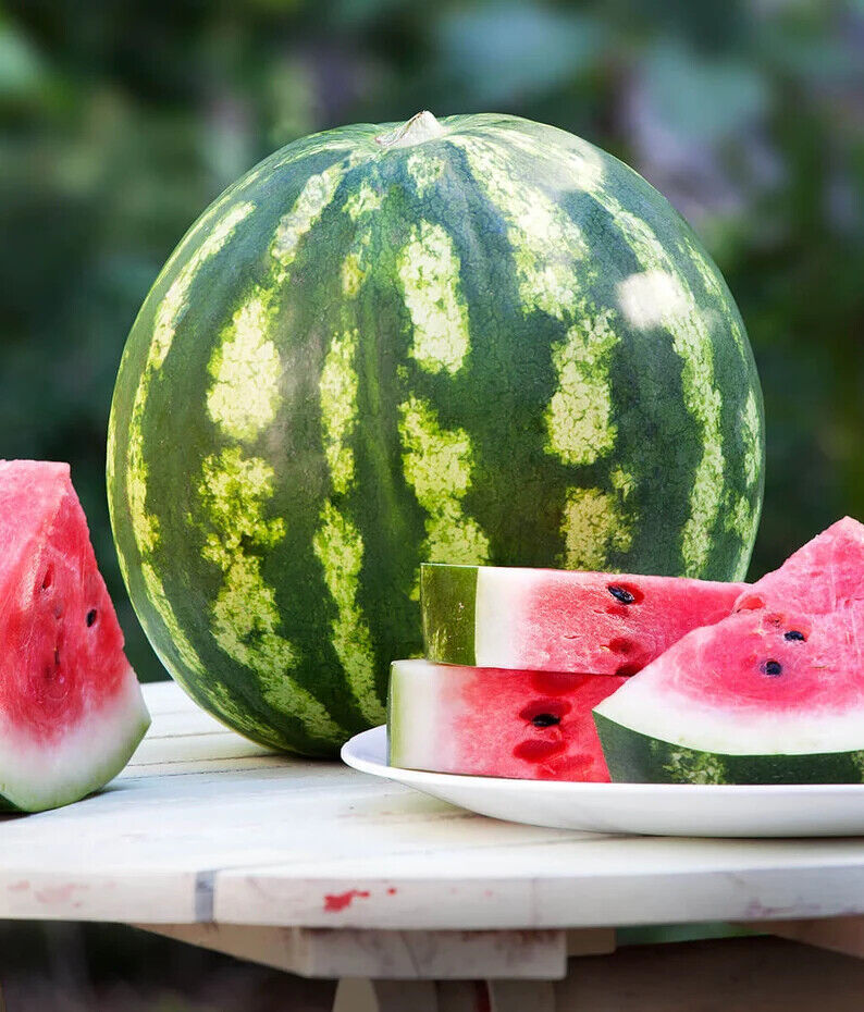 Rare Colorful Sweet🍉Watermelon🍉Seeds Fresh Fruit Healthy Planting Summer