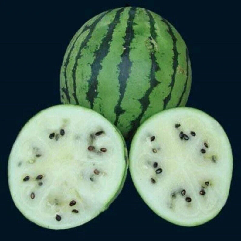 Rare Colorful Sweet🍉Watermelon🍉Seeds Fresh Fruit Healthy Planting Summer
