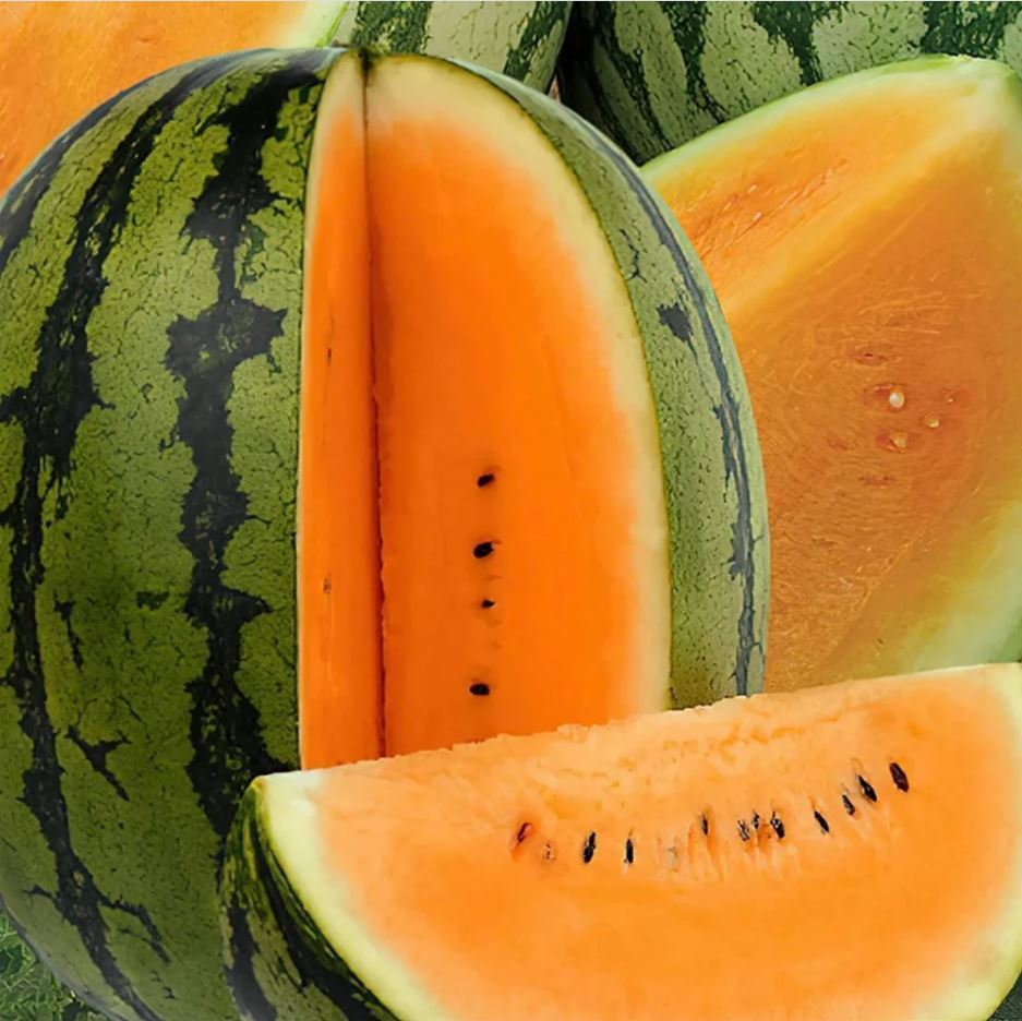 Rare Colorful Sweet🍉Watermelon🍉Seeds Fresh Fruit Healthy Planting Summer