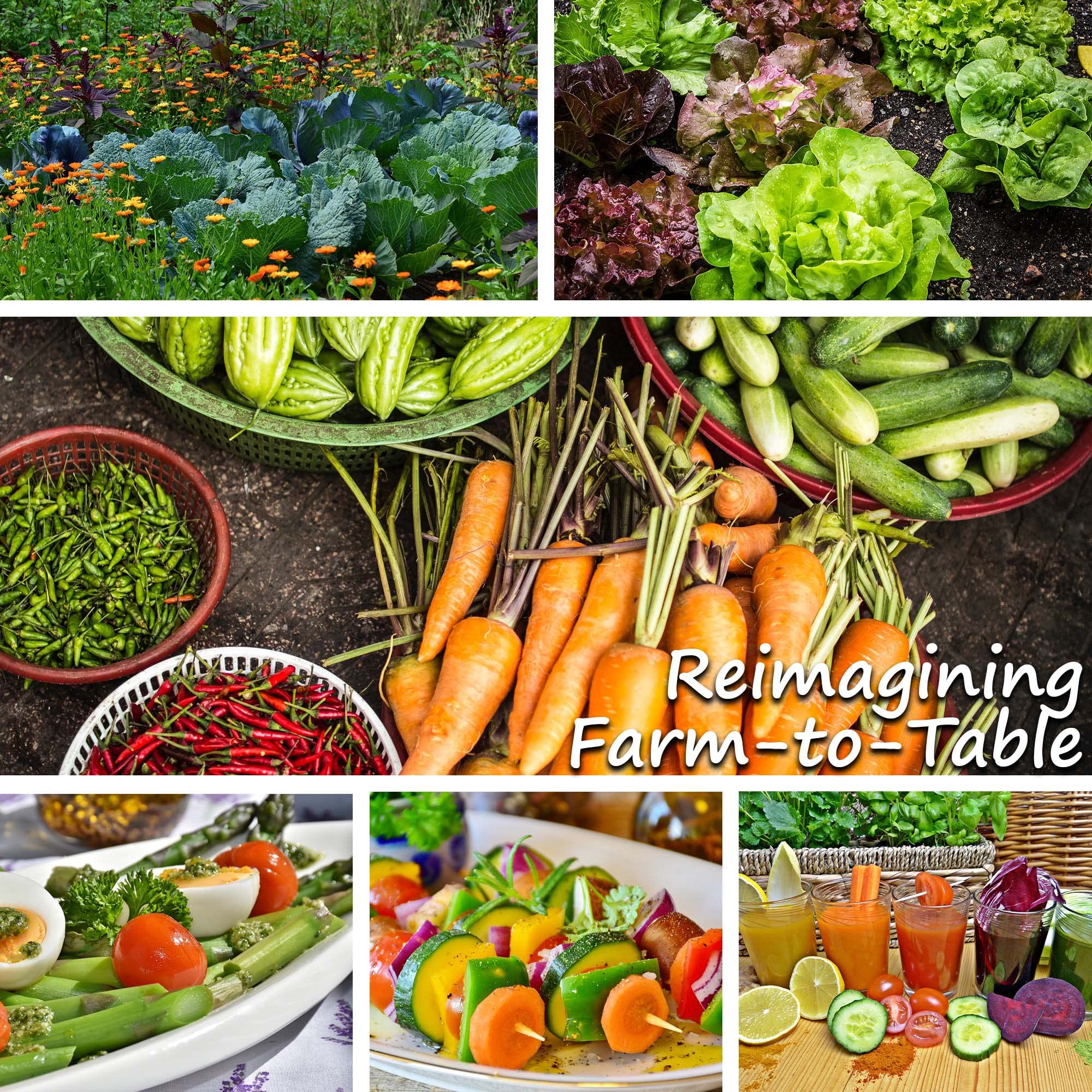 Winter Vegetable Seeds Variety Pack, 16 Heirloom Seed Kit