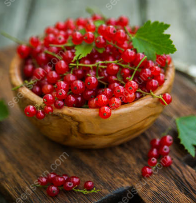 Currant Seeds
