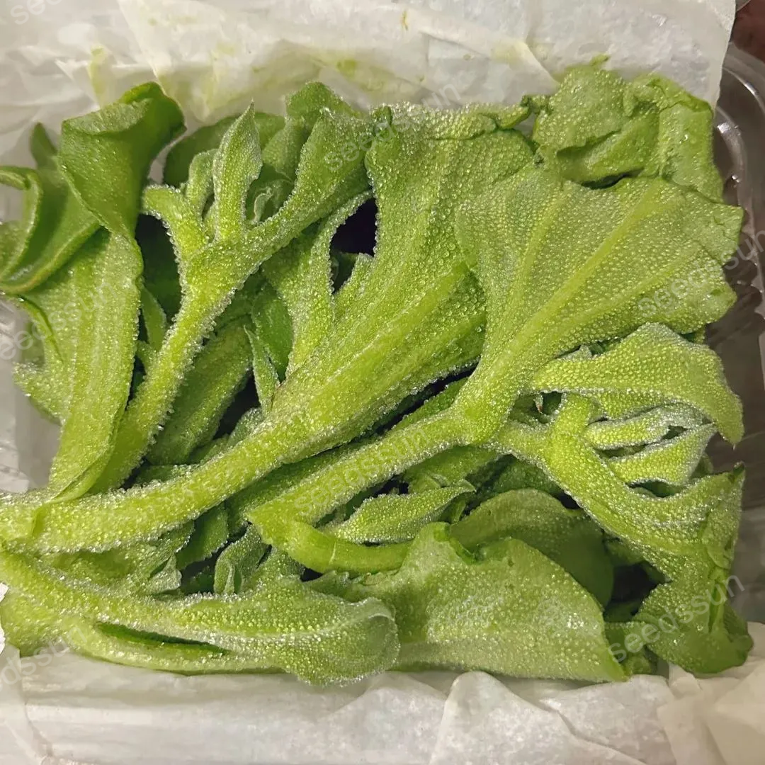 Ice Vegetable Seeds