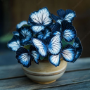 Blue gray
