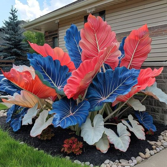 Rare Tricolor Series Flower Seeds