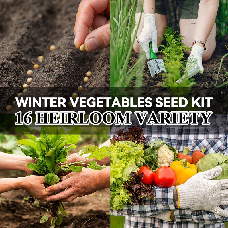 Winter Vegetable Seeds Variety Pack, 16 Heirloom Seed Kit