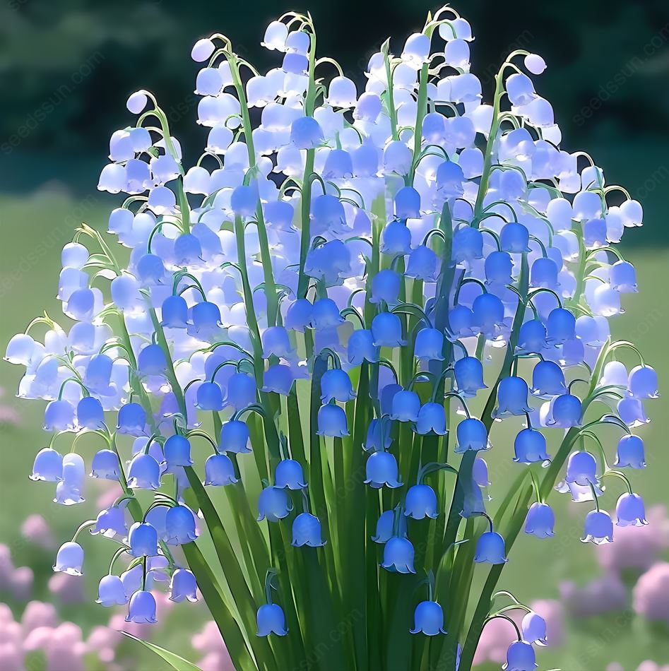 Lily of the Valley Seeds Four Seasons Flowers Sleeping Plants