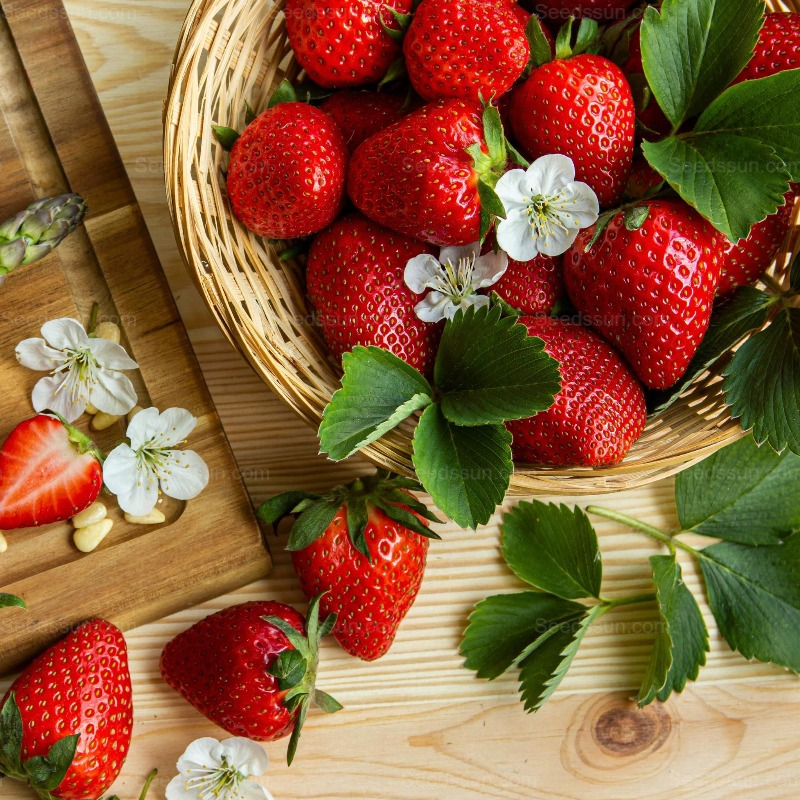 Ruby Strawberry-Indoor and Outdoor Potted Balcony Fruit Seeds