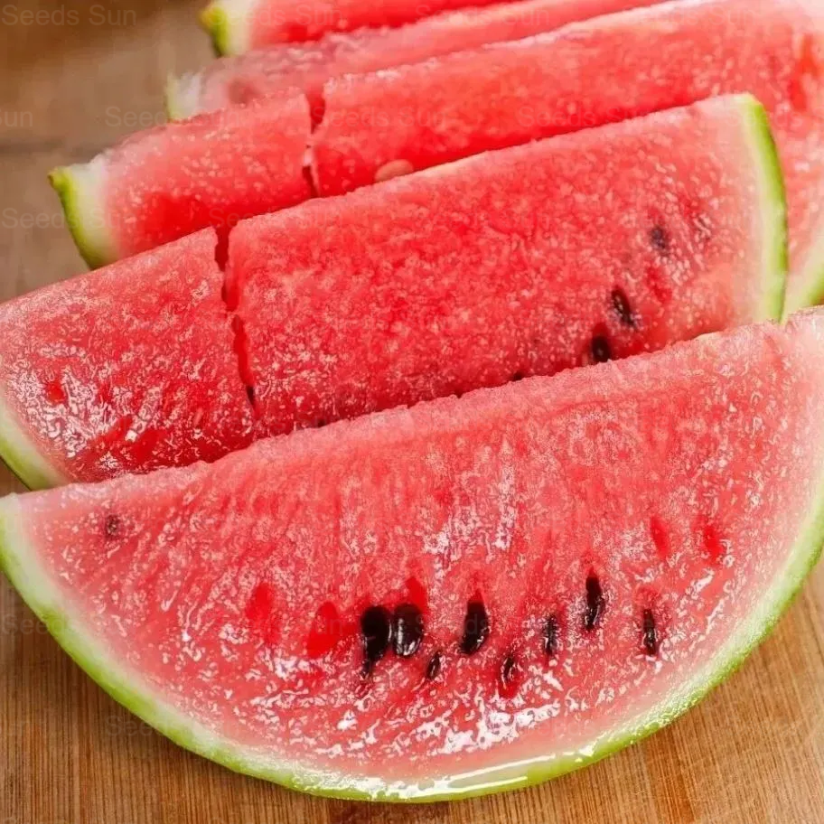 Early Spring Red Jade Watermelon Seeds