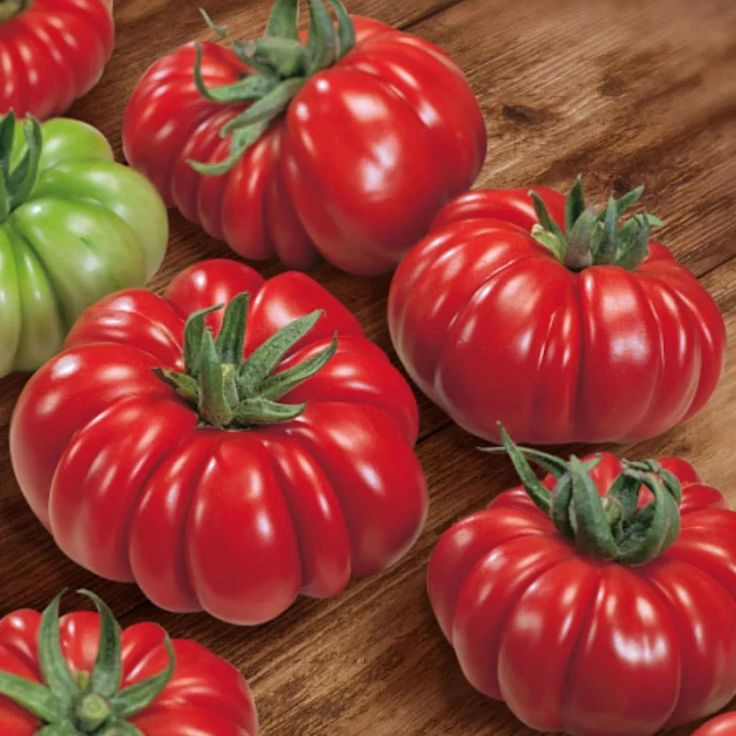 🔥Organic Giant Monster Tomato