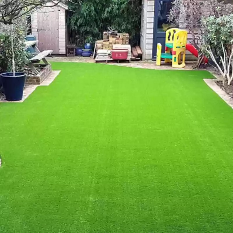 High Quality Premium Lawn Seeds