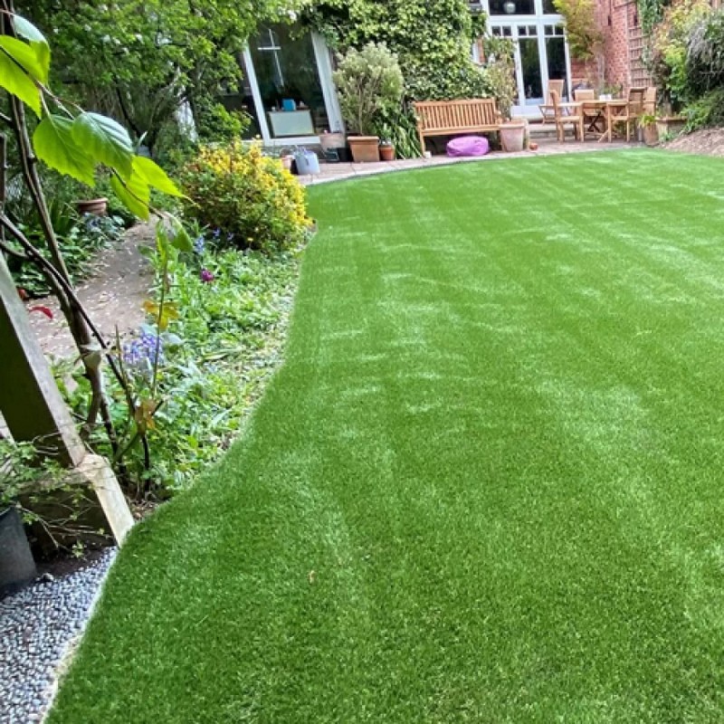 High Quality Premium Lawn Seeds