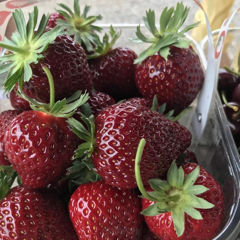 Purple Wonder Strawberry Seeds Large & Sweet