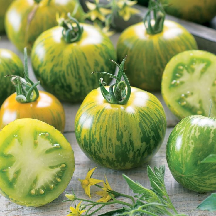 💚Green 🦓Zebra 🍅Tomato Seeds - Open Pollinated, Non GMO