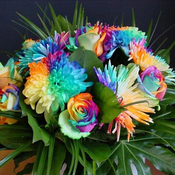 50Pcs Rainbow Chrysanthemum Seeds Plants Bonsai Perennial Flowers Home Garden
