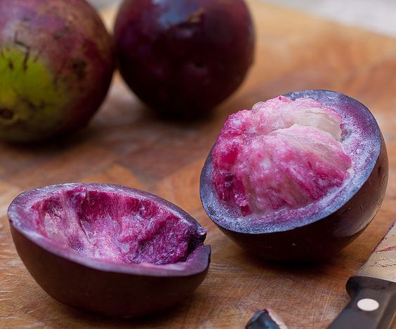 ⭐Star Apple Seeds-Chrysophyllum Cainito