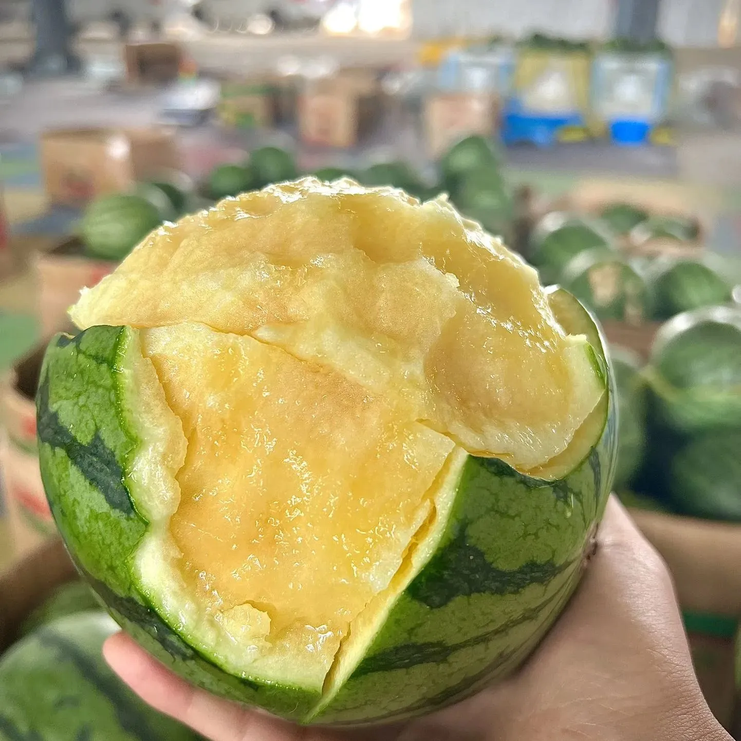 💥Best Seller☃️ ️Ice Cream Watermelon-Seeds-It Tastes Like Ice Cream A