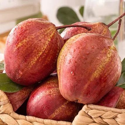Sweet Rainbow Pear Seeds