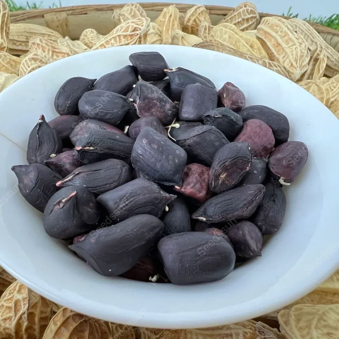 Black Peanut Seeds - High Quality, High Yield, Healthy And Delicious