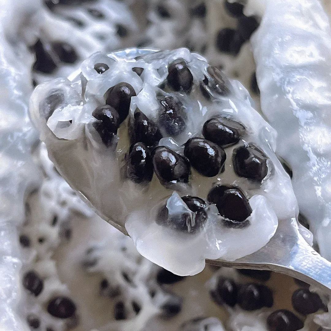 Holboellia Latifolia Seeds