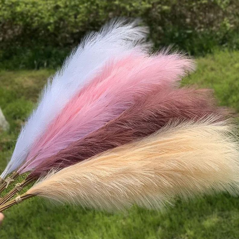 Perennial Pampas Ornamental Grass Seeds