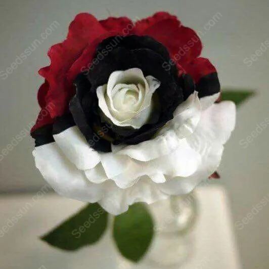Pokémon rose - Rare red white black rose