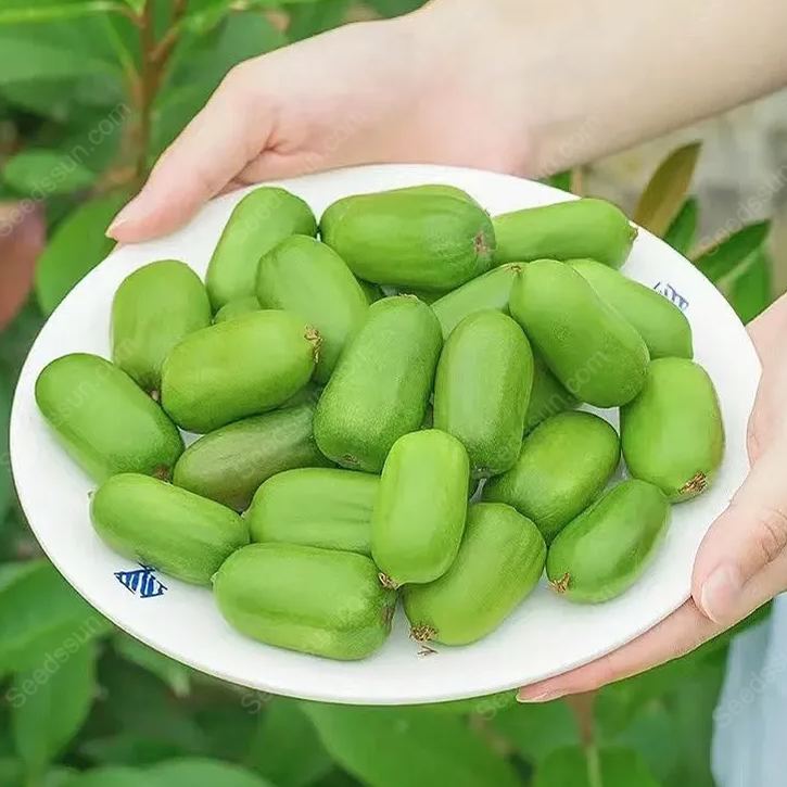 Actinidia Arguta Seeds