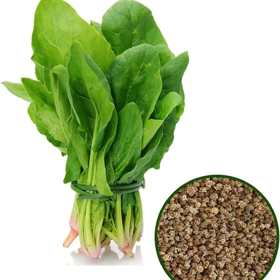 Large Leaf Spinach Seeds