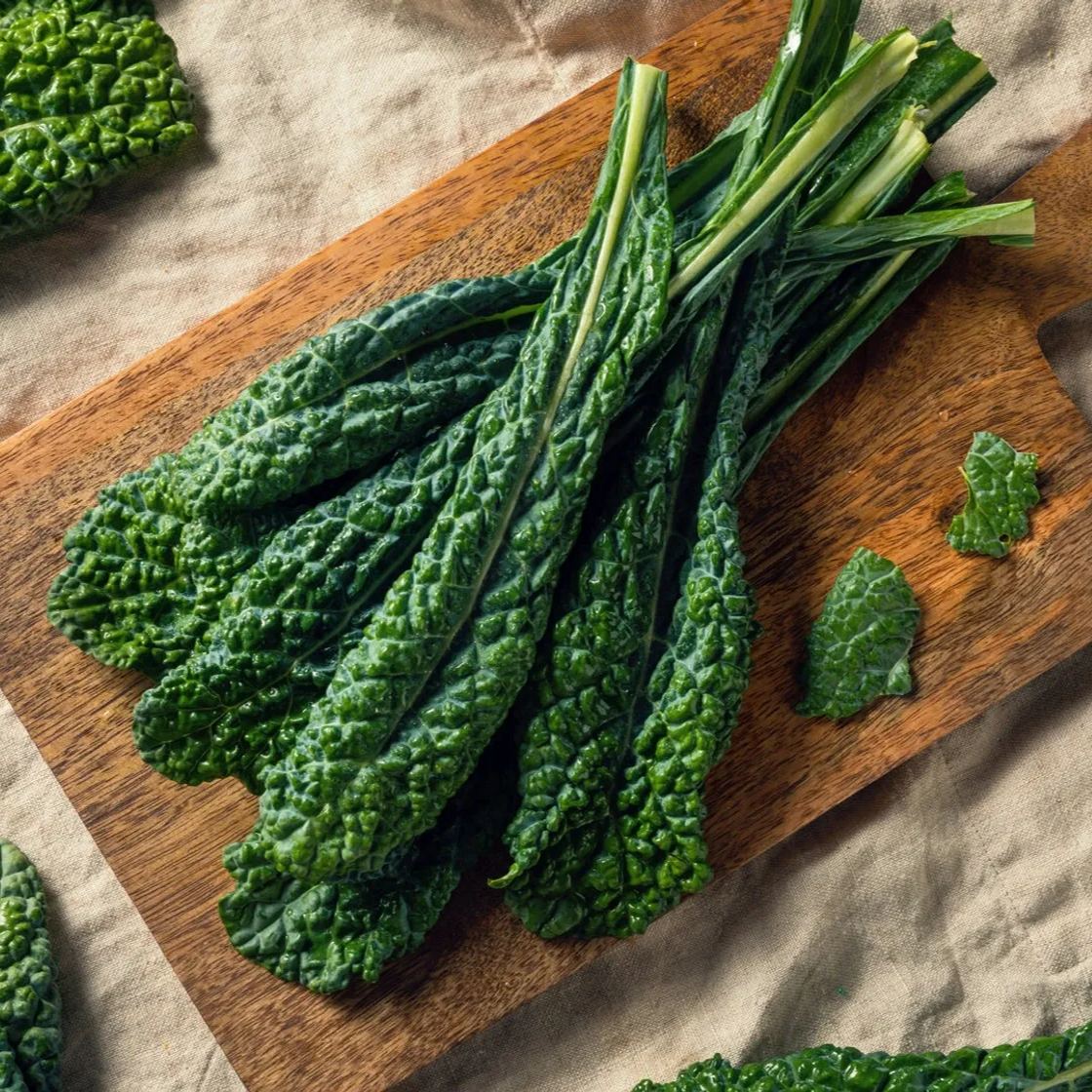 Lacinato kale Seeds