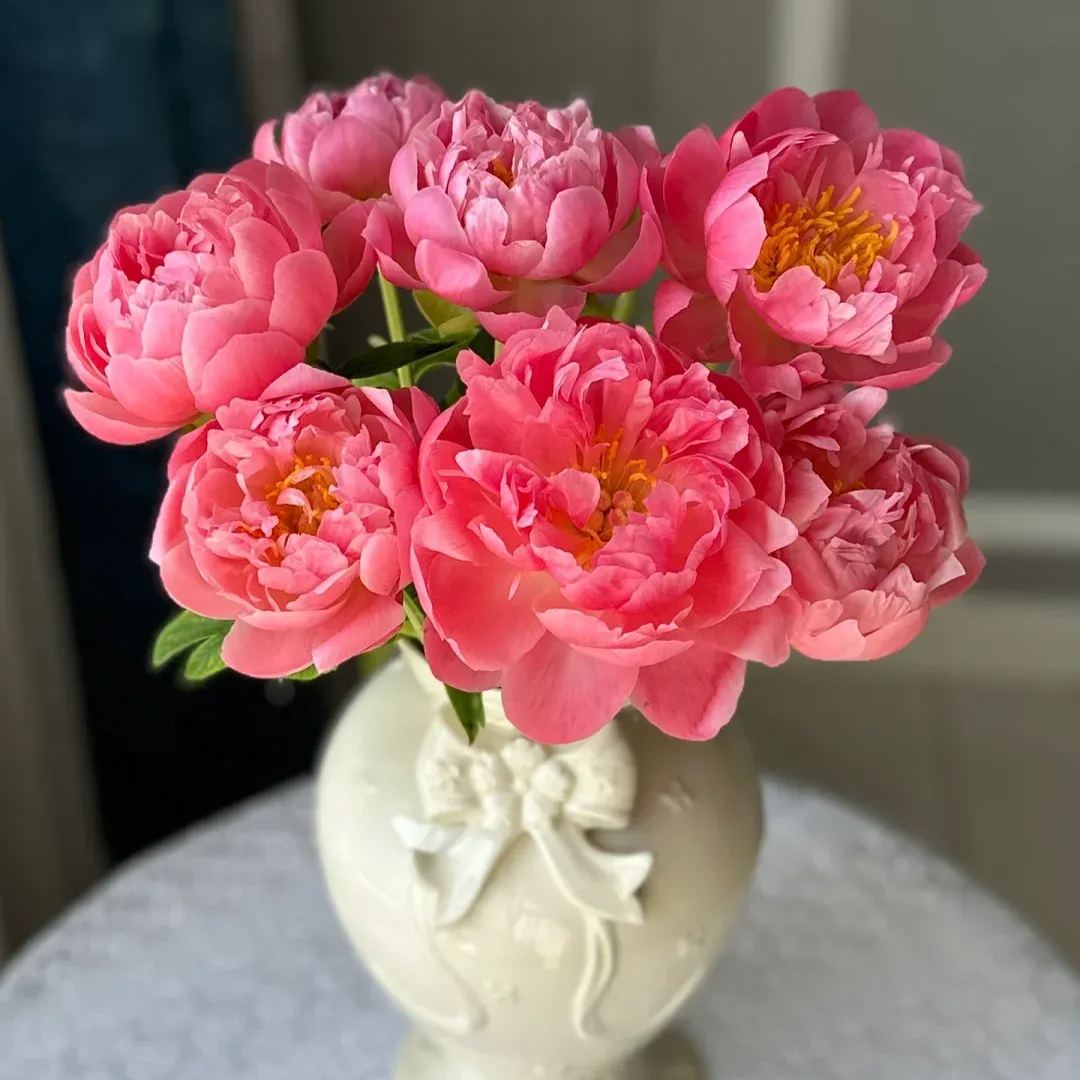 Selected Perennial Peony Seeds