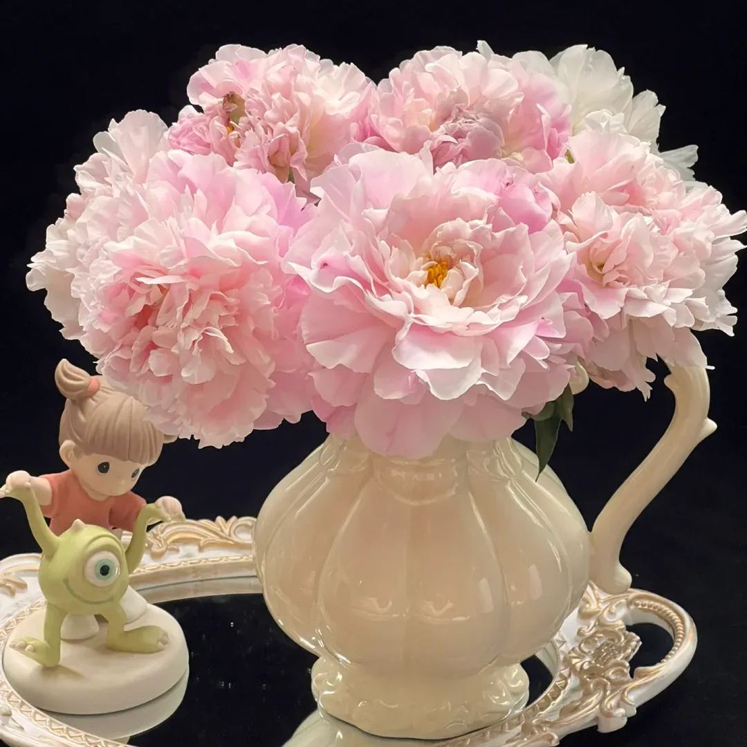 Selected Perennial Peony Seeds