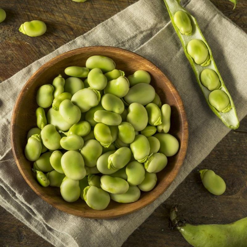 Emerald Broad Beans Seeds